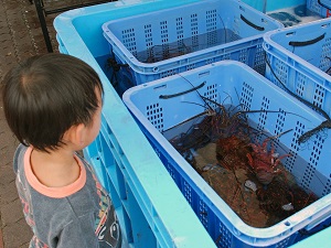 おんじゅく伊勢えび祭り