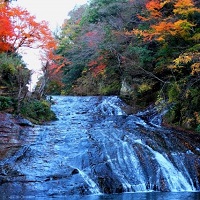 養老渓谷温泉郷　粟又の滝