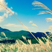 箱根　仙石原温泉