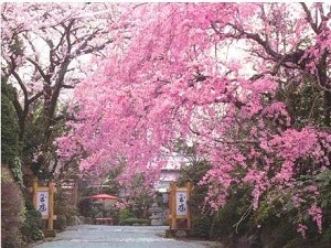 箱根湯本温泉　玉庭