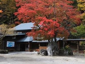 奥鬼怒温泉 八丁の湯