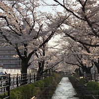 石和温泉