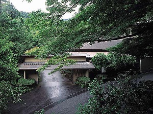 湯河原温泉海石榴 つばき