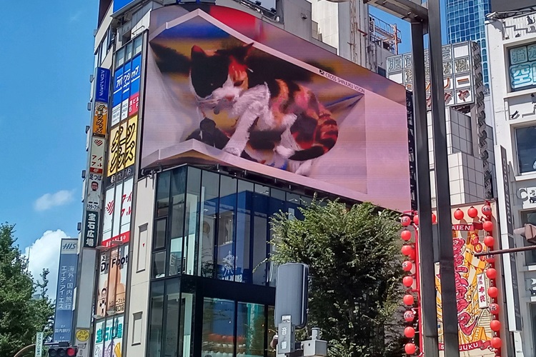 JR新宿駅東口前にあｒるビルの立体映像ディスプレイ